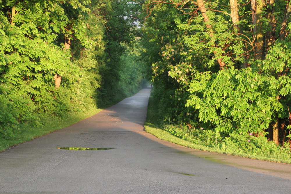 The Seasons Apartments JBJ Companies, Inc.